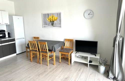 SDH 1 Radzymin comfortable apartment near Warsaw - Foto 5