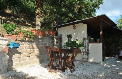 Azienda Agricola Biologica La Cardellina - Foto 35