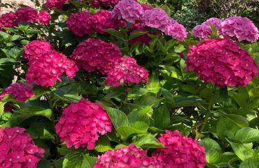 Meerlust Spiekeroog - Foto 29