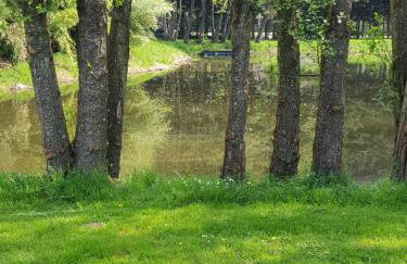 Gite des étangs de Saint Bale - Foto 20