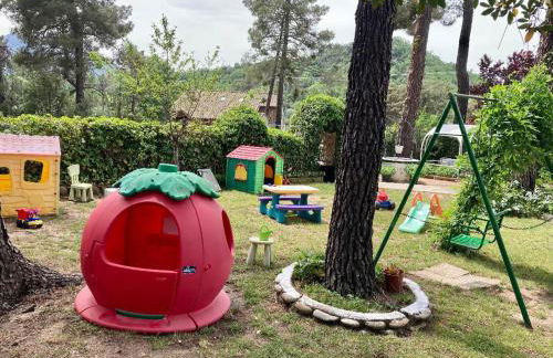 Aventura II - Photo 7