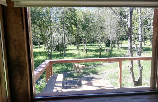 Wonderful Rustic Cabin 2, With Native Logs, on the Banks of the Trancura River - Foto 10
