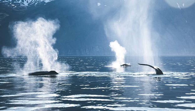 Tour in Bei Du Xin Di Qu - Foto 3