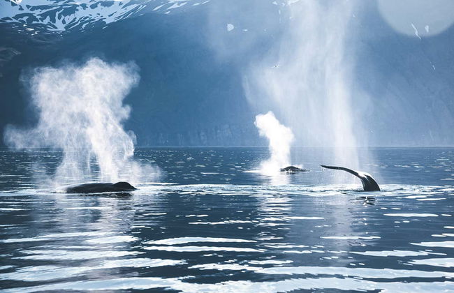 Tour in Bei Du Xin Di Qu - Foto 3