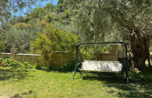 Oliveto e mare - Foto 40