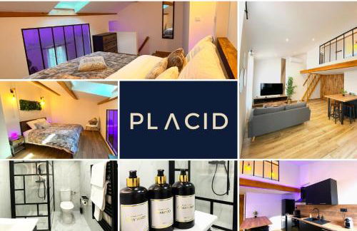 Appart Mezzanine, Centre-ville - Foto 20