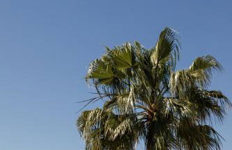 Ses Vistes - Foto 43