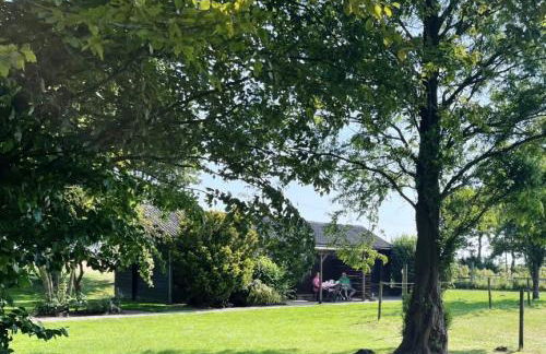 Ferienhof Reimers - Foto 57