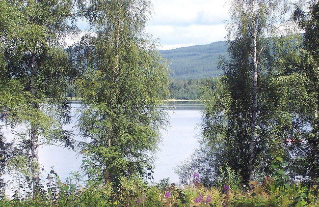 6 Person Holiday Home in Torsby - Foto 20