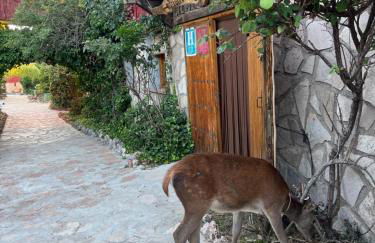 Cabañas Buenache - Foto 6