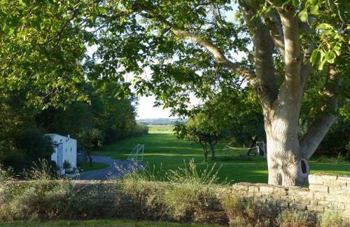 Conkers - a new bespoke rural escape near Glastonbury - Foto 33