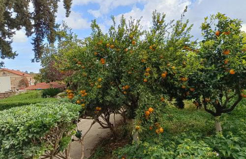 KTHMA "Ν" Πέτρινη Μεζονέτα - Photo 49