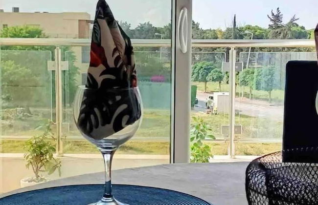 Luxurious 2-bed Apartment in Sidi Daoud, Marsa - Foto 23