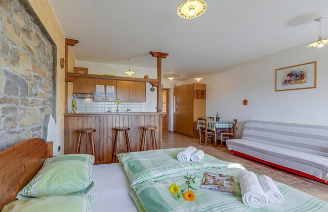 Tourist Farm Tonin Apartments - Photo 7