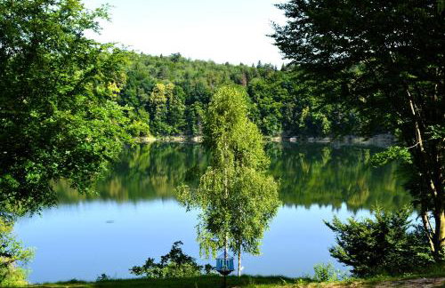Brama Sanu - z prywatną linią brzegową Jeziora Solińskiego - pomosty - pontony - basen sezonowy - Foto 30