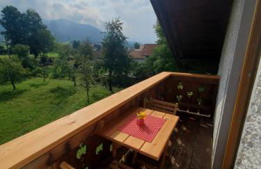 Biohof Dimper - KuhHorn - Foto 12