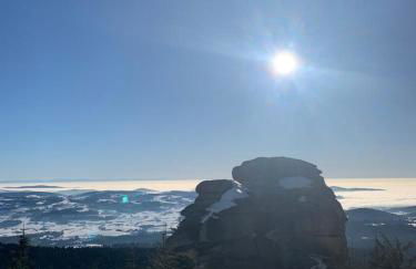 Große Ferienwohnung Hundertwasser am Dreisessel in Altreichenau - Foto 51