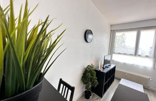 Un cocon paisible avec Balnéo proche centre ville - Foto 10