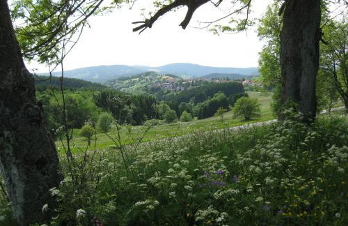 Altes Forsthaus Fischbach - Foto 7