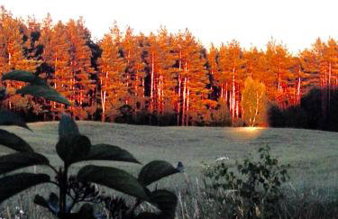 Butterfly Factory - Foto 47