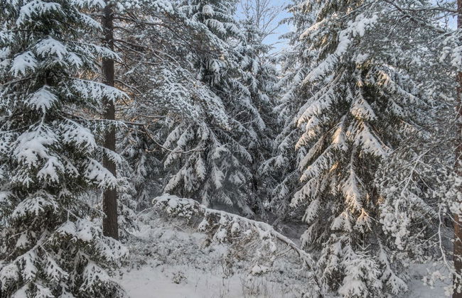 Vaarapirtti / tähti - Foto 35