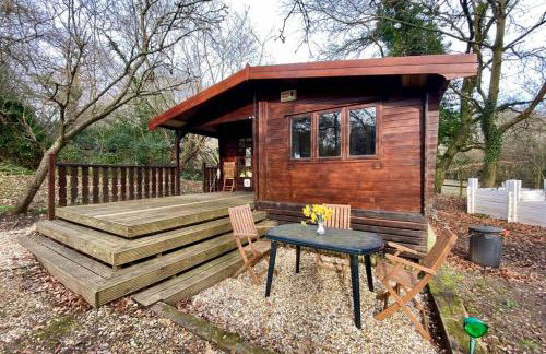 The Cabin at The Oaks - Foto 20