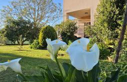 Appartamento da Vjeri - Foto 16