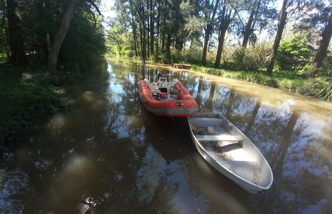 Cabaña del humedal - Foto 37