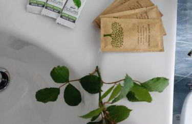 Casa Cristina - Vista Lago - Foto 35