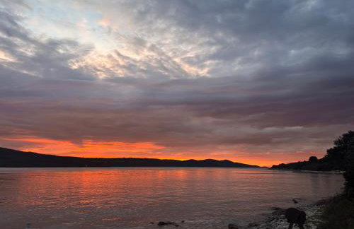 Robinzon kuća Niko - Photo 11