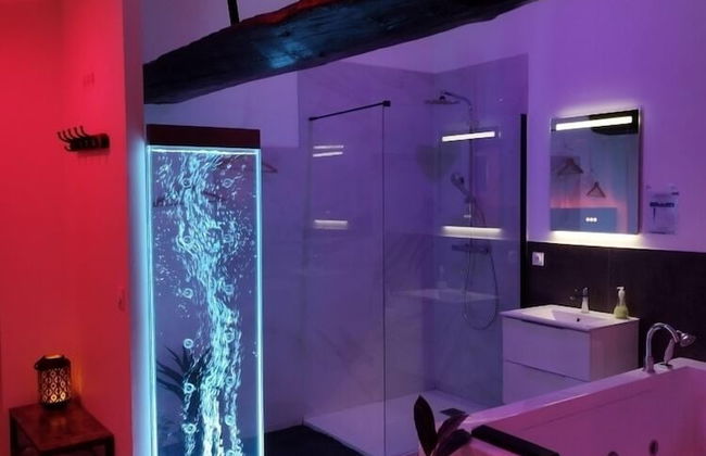 Les Sansonnets - Foto 9