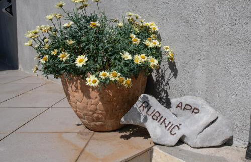 APARTMAN RUBINIĆ - Foto 8