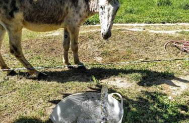 Mas Planella Casa Rural - Foto 15