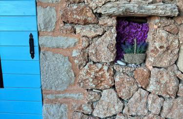 Kolonjicha Dvori - Foto 13