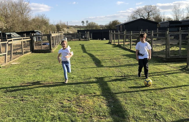 Willow Court Farm - Foto 55