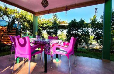 Apartmani Tognon - Foto 8