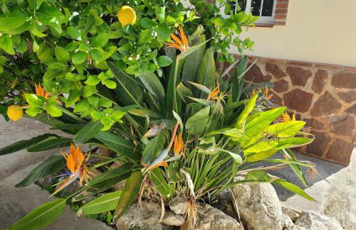 Casa Sunflower - Photo 28