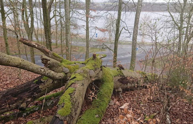 Tranquil Lakeside Retreat in Ry-by Traum - Foto 27