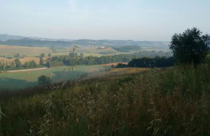 Agriturismo I Moricci - Foto 35