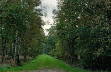Ferienwohnung am Drömling Südheide - Gerda - Foto 40