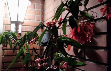 Apartamento al lado de Barcelona y la playa - Foto 17