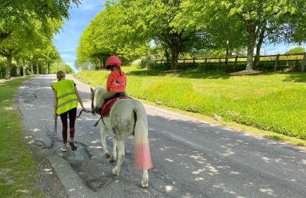 Peaceful Cowslip Lodge - Finlake Spa Resort in Devon - Foto 30