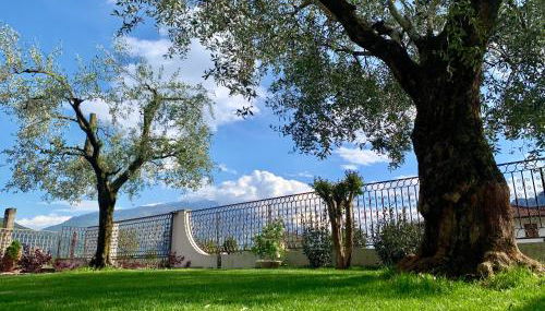 Appartamenti Villa Sonia - Foto 4, Garden, Garden view