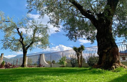 Appartamenti Villa Sonia - Foto 4