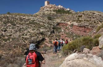Alojamientos Rurales Cortijo Las Golondrinas - Foto 71