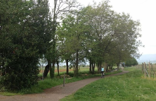 Agriturismo Al Vecchio Portico - Photo 54