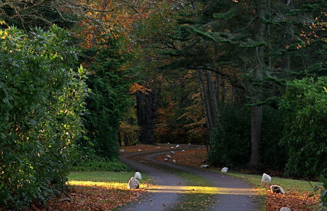 Bunchrew House Hotel - Foto 78