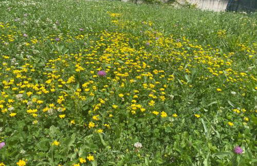 Casa di Ercolino - Foto 47