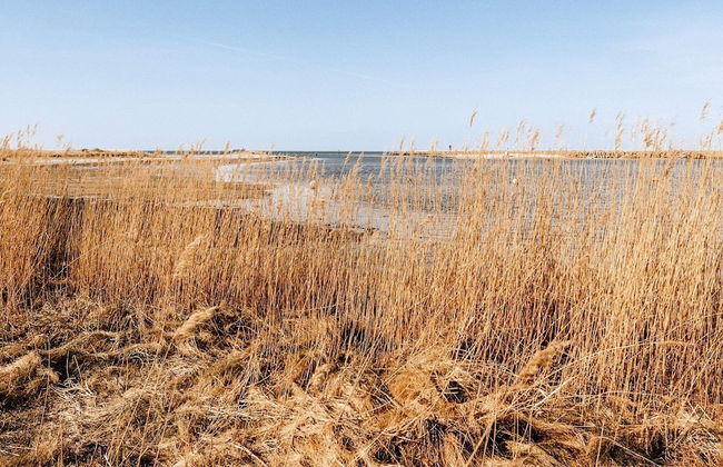 6 Personen Ferienhaus in Wendtorf - Foto 22