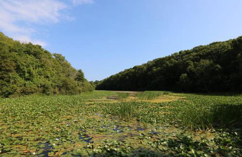 Granary Cottage - Foto 35